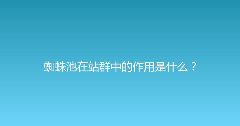 蜘蛛池在站群中的作用是什么？ 封面图