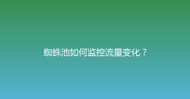 蜘蛛池如何监控流量变化？ 封面图